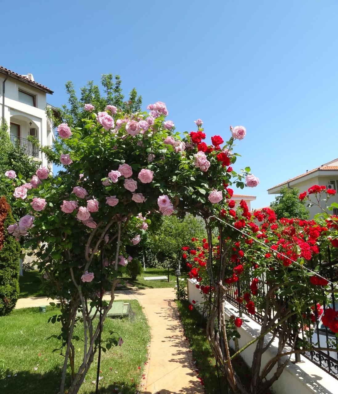 Triumph Holiday Village Szveti Vlasz Kültér fotó